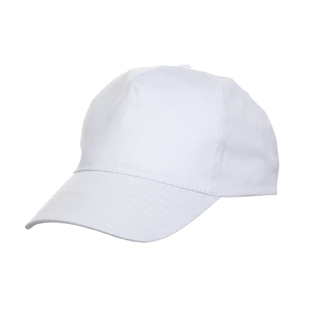 CP0500 White