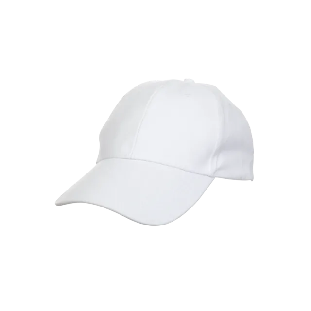 CP0100 White