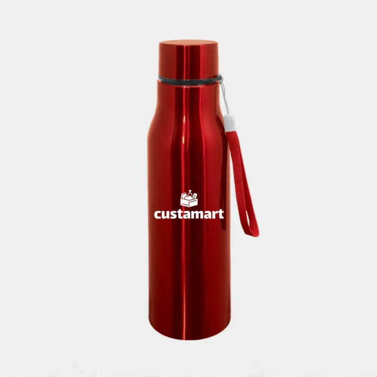 Stainless Steel Sport Bottle ST697