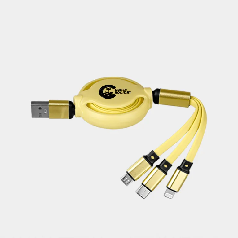 CABLE 3100